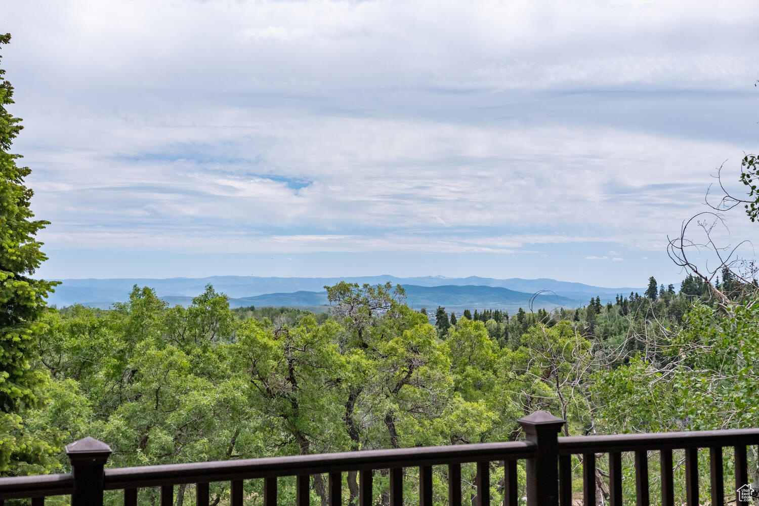 209 PORCUPINE LOOP