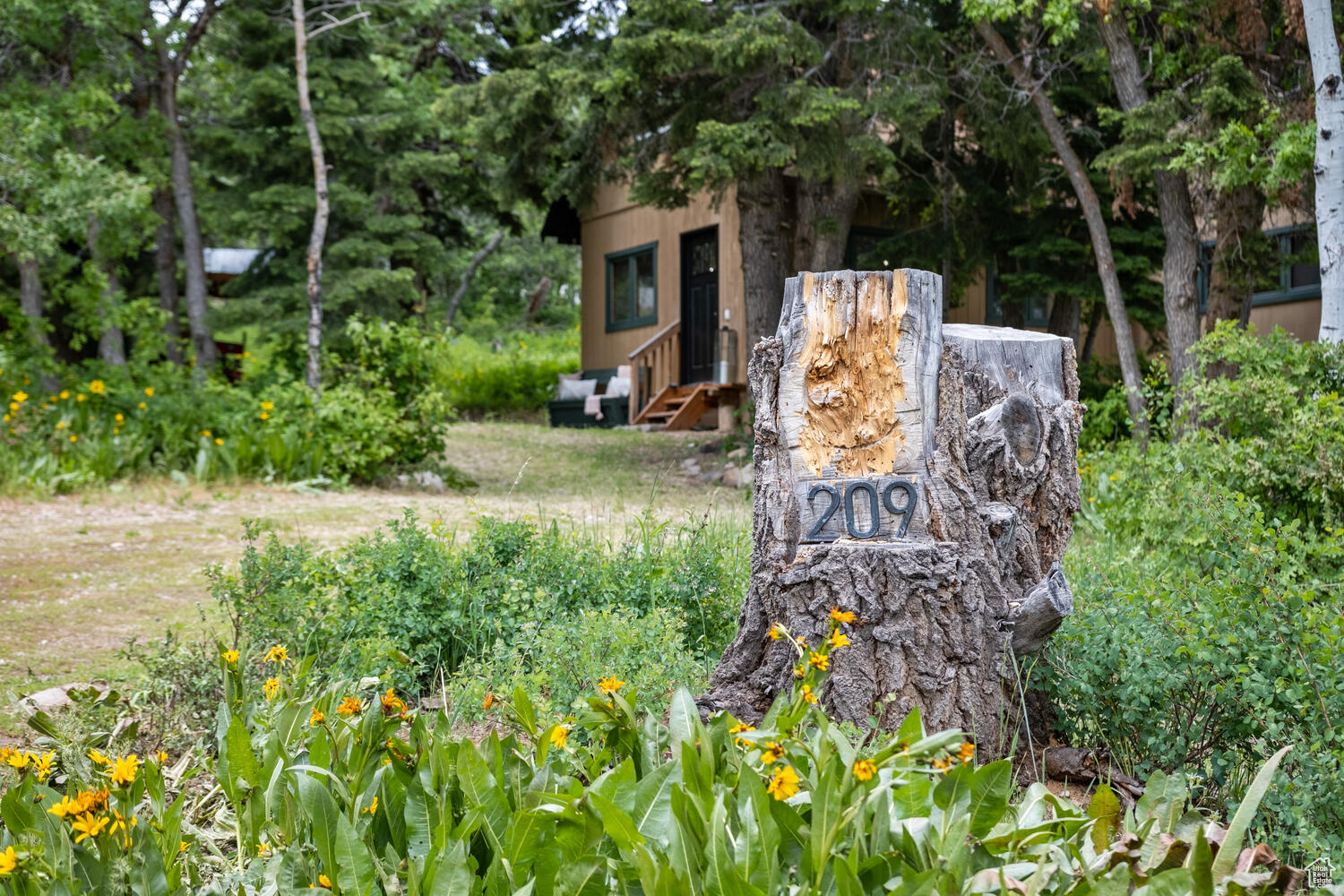209 PORCUPINE LOOP
