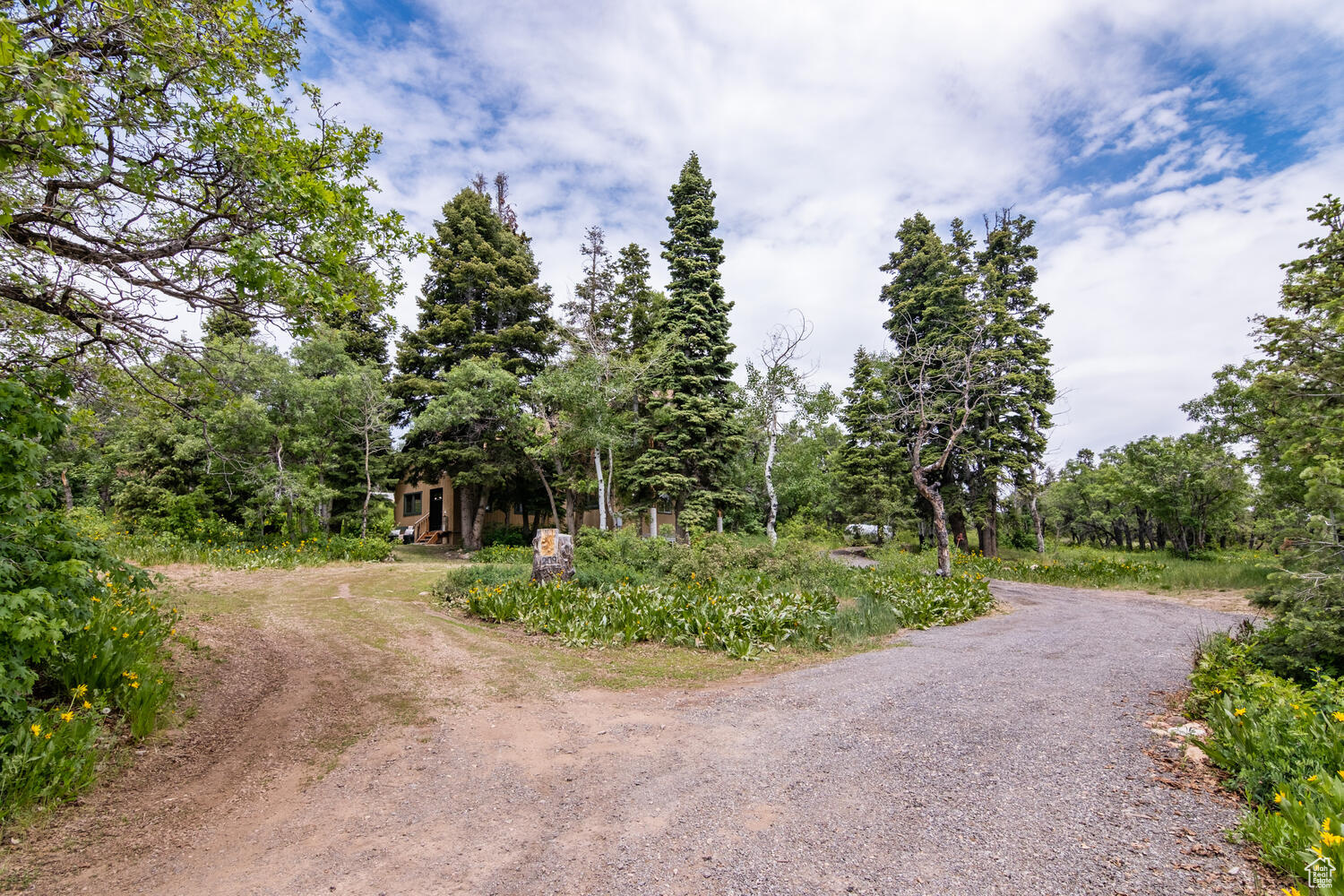 209 PORCUPINE LOOP