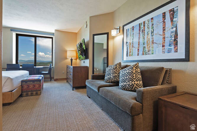 3855 GRAND SUMMIT DR #514 Q1