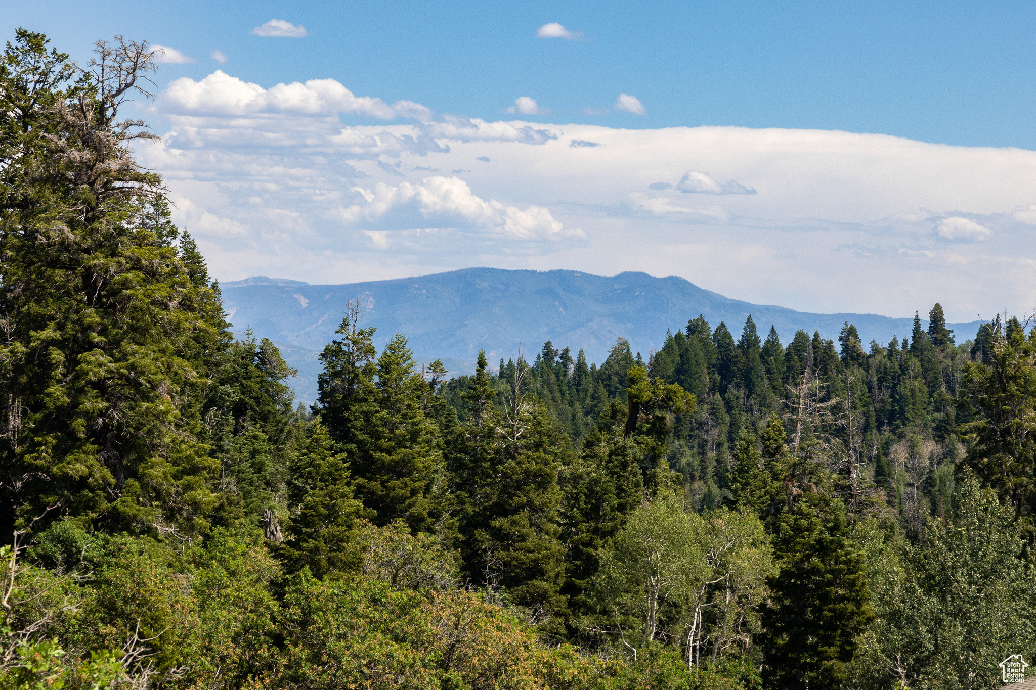 2040 PINE MEADOW DR Unit: D44
