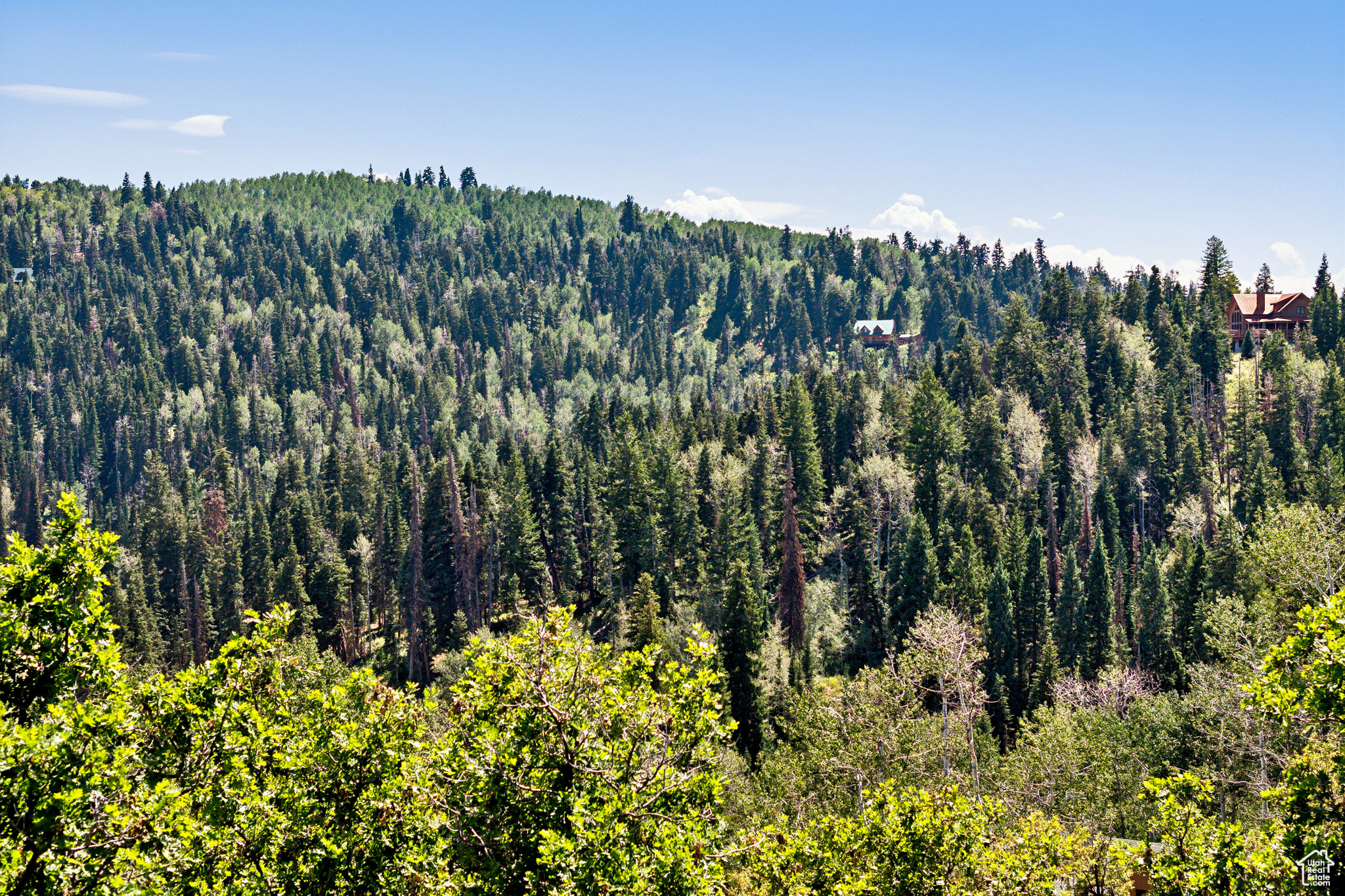 2040 PINE MEADOW DR Unit: D44