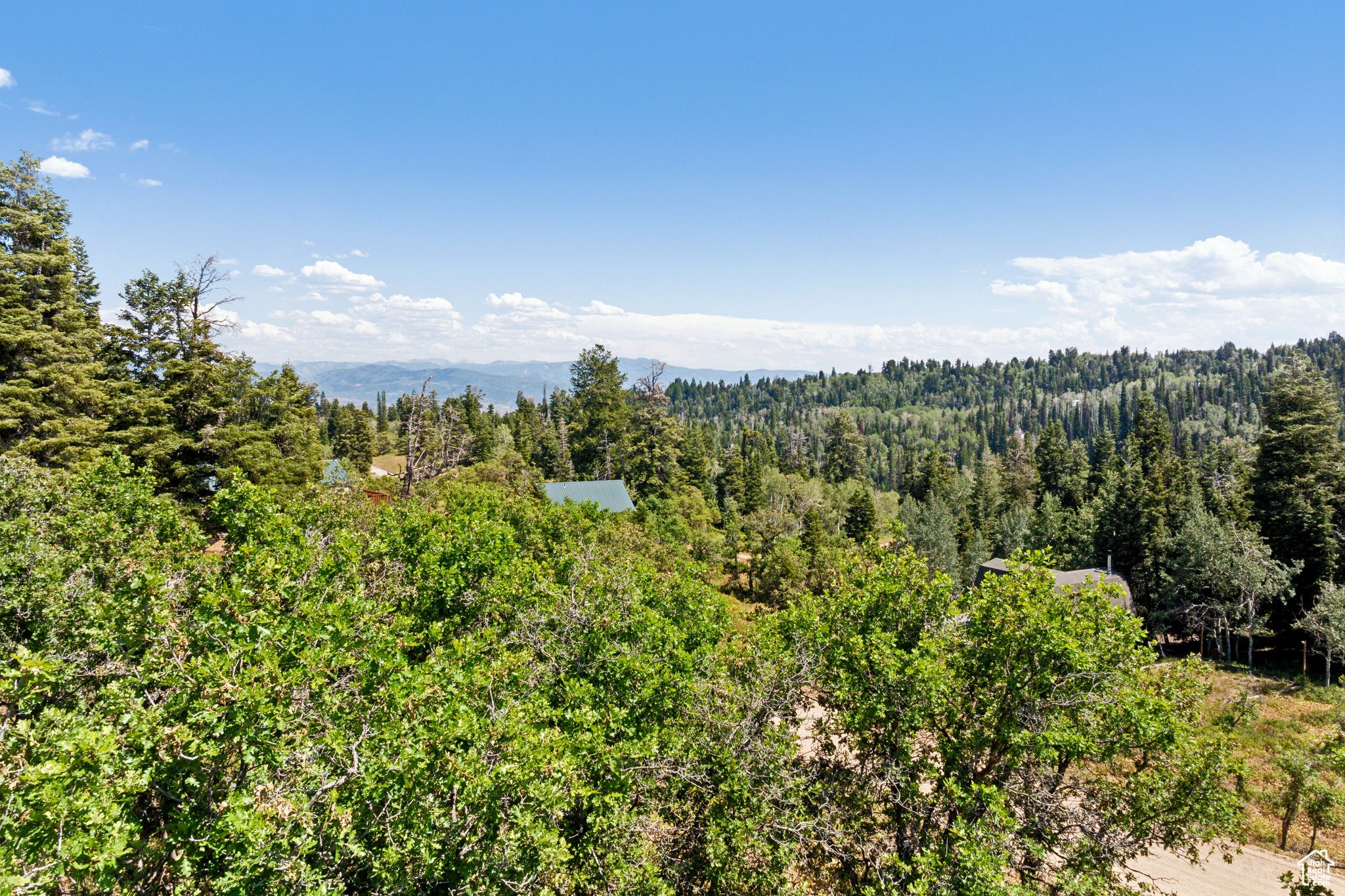 2040 PINE MEADOW DR Unit: D44