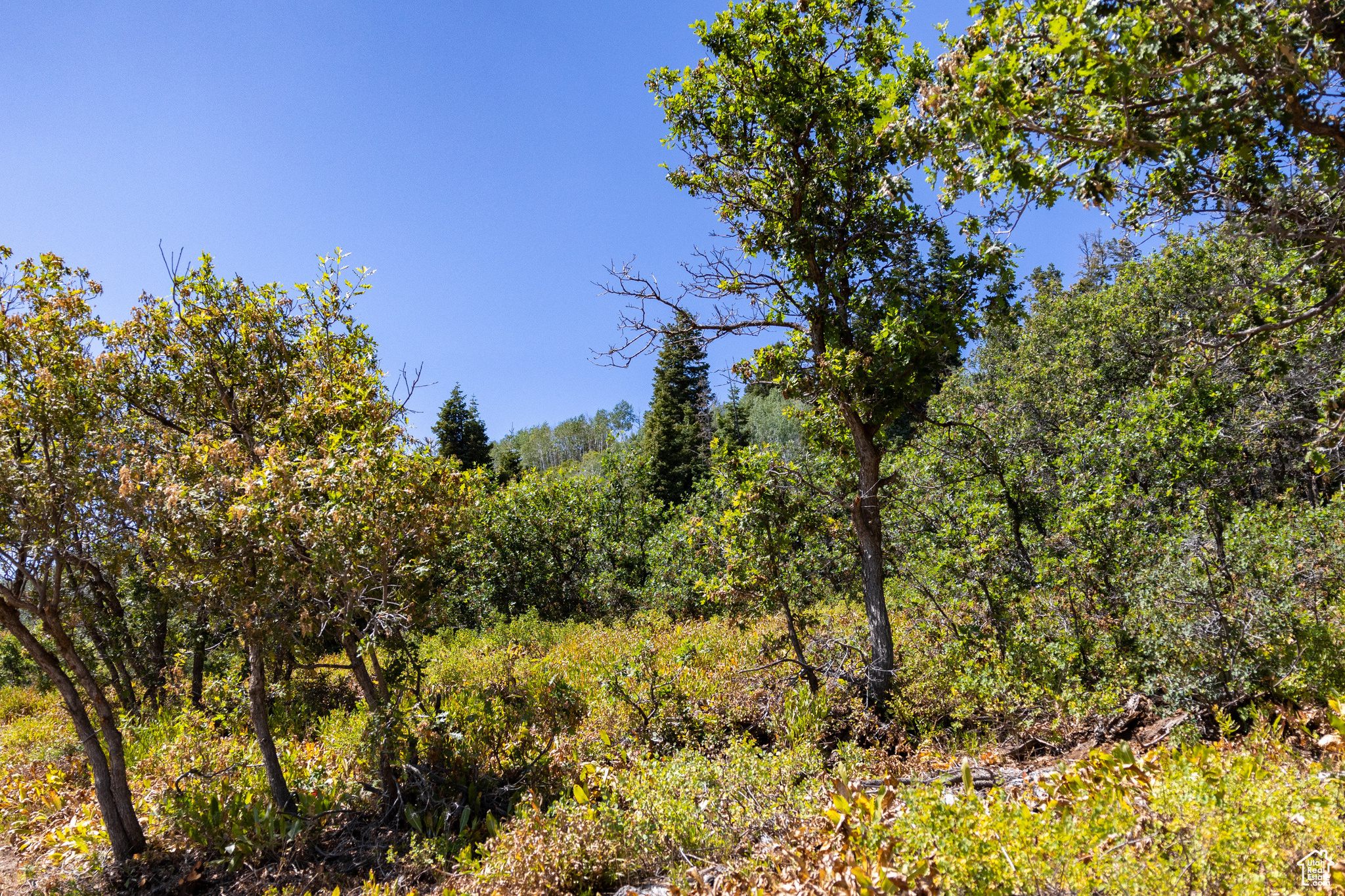 2040 PINE MEADOW DR Unit: D44