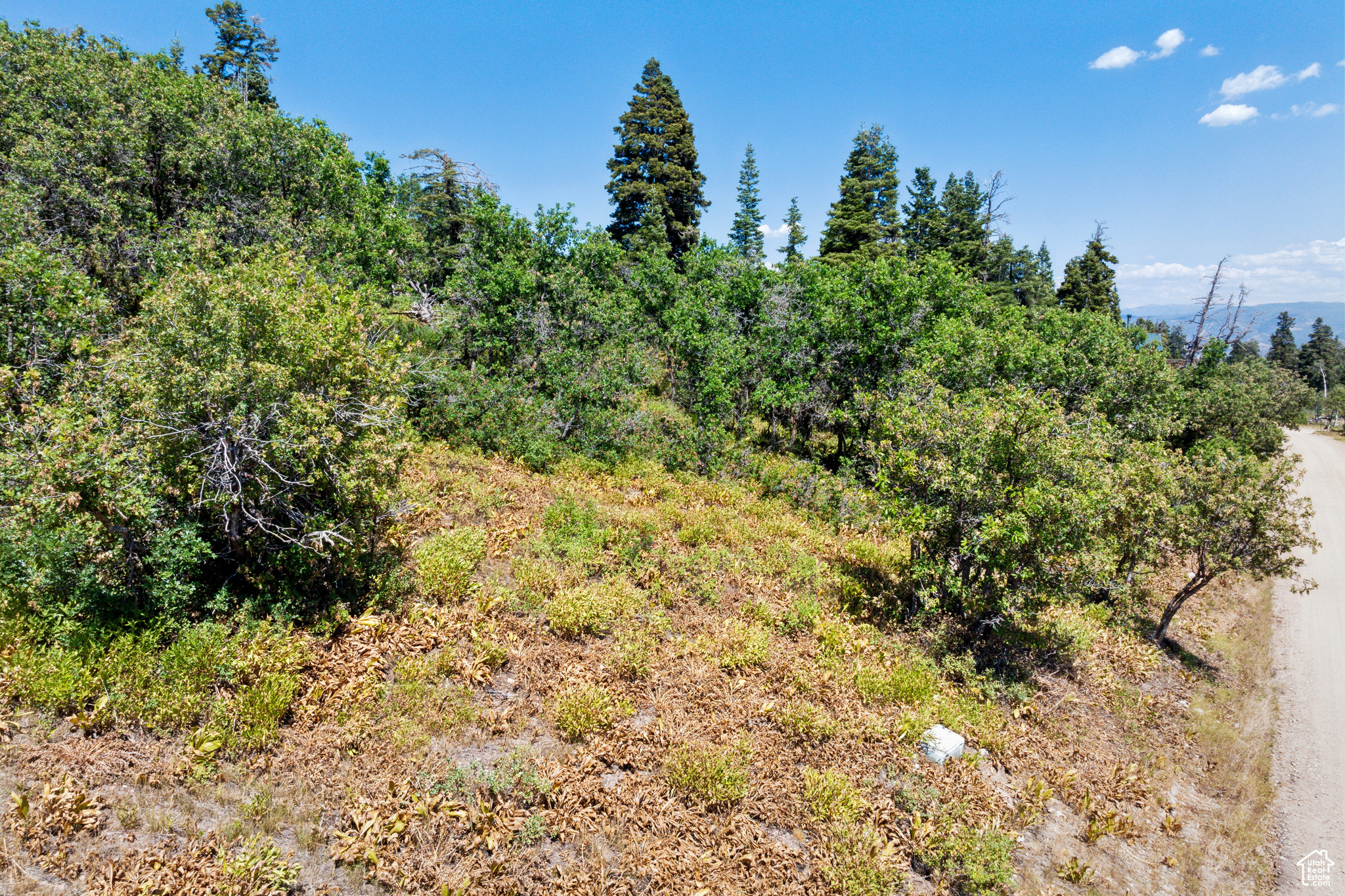 2040 PINE MEADOW DR Unit: D44