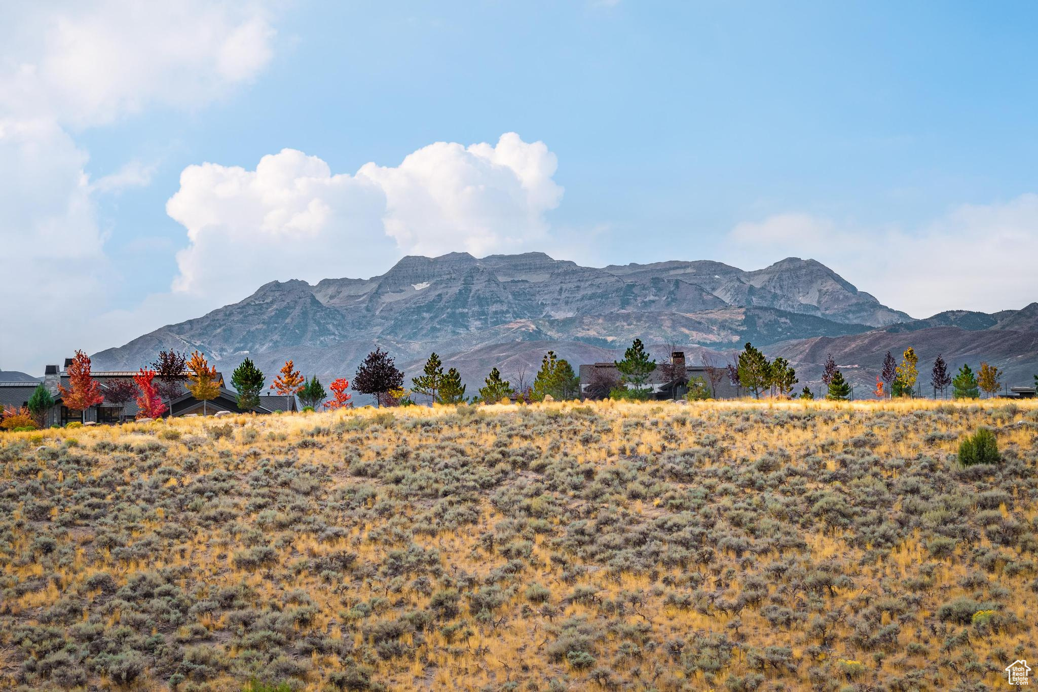 1106 N EXPLORER PEAK DR Unit: 459