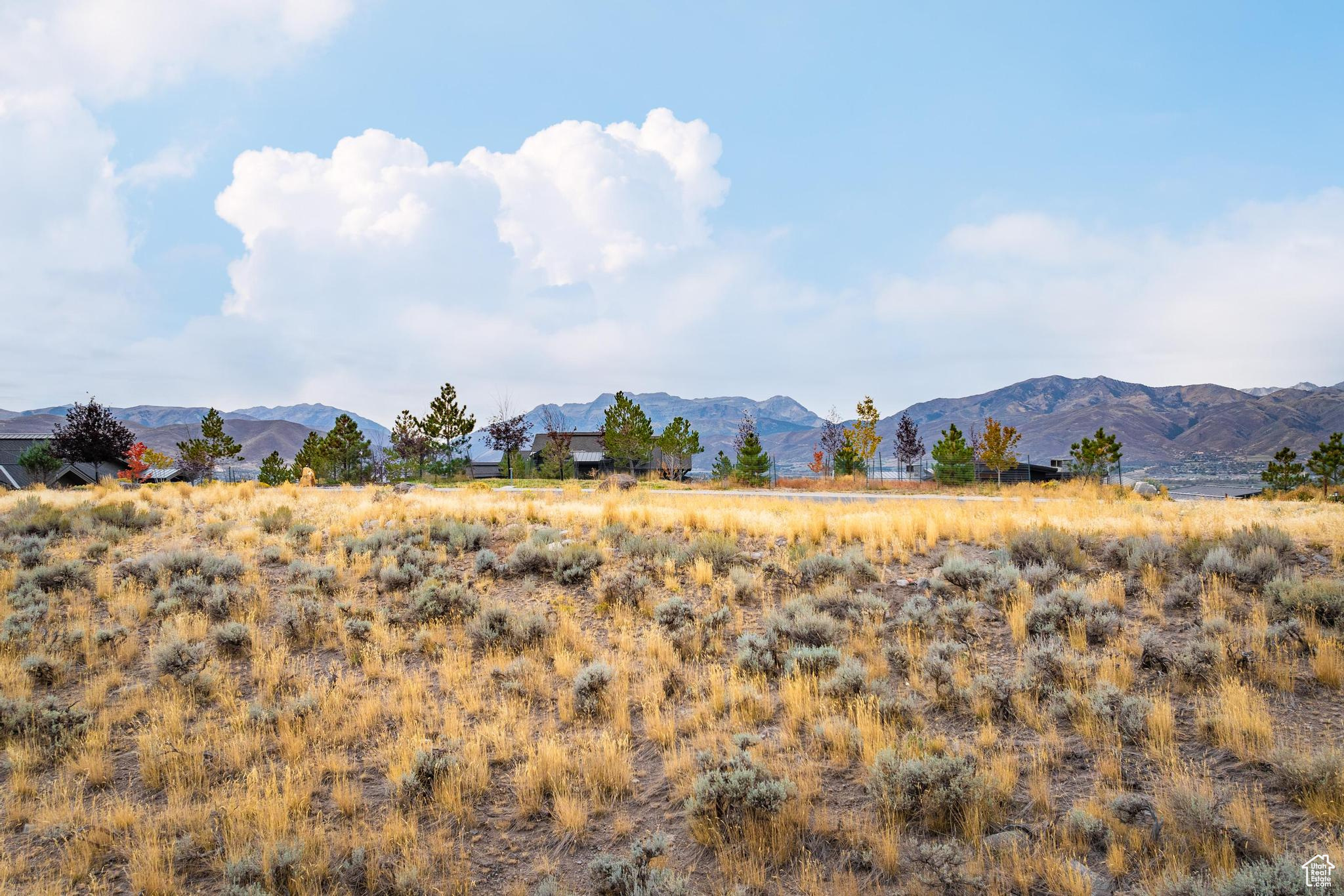 1106 N EXPLORER PEAK DR Unit: 459