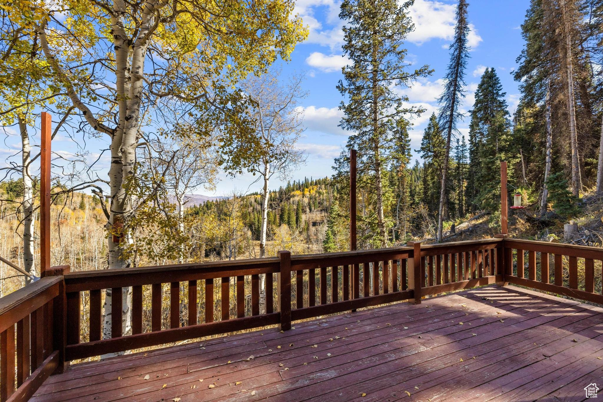 2112 PINE MEADOW DR