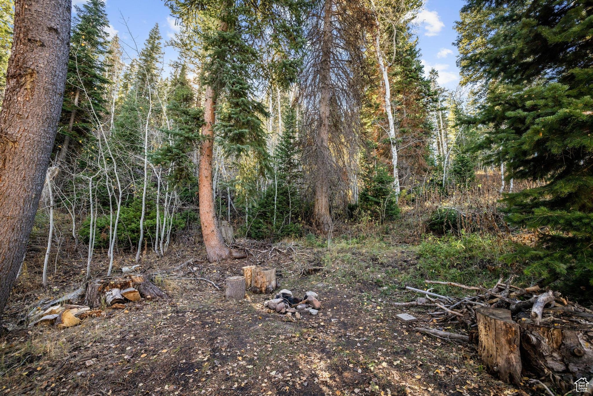 2112 PINE MEADOW DR