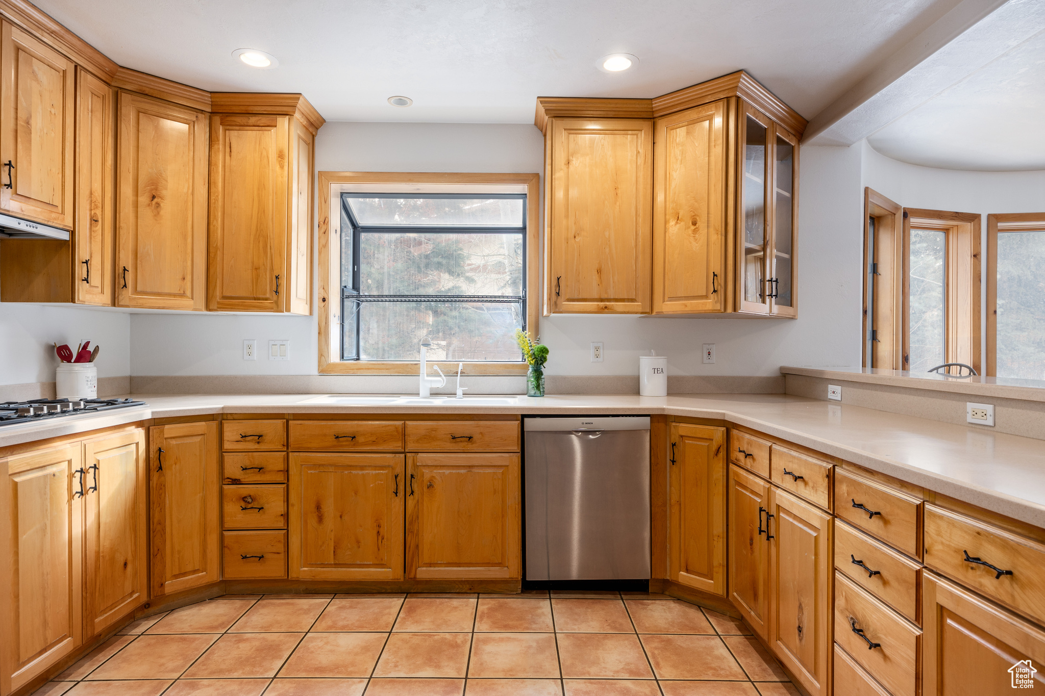 2897 AMERICAN SADDLER DR