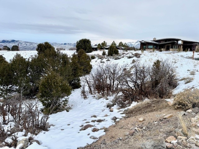 1664 N A1 PEAK CIR Unit: 551