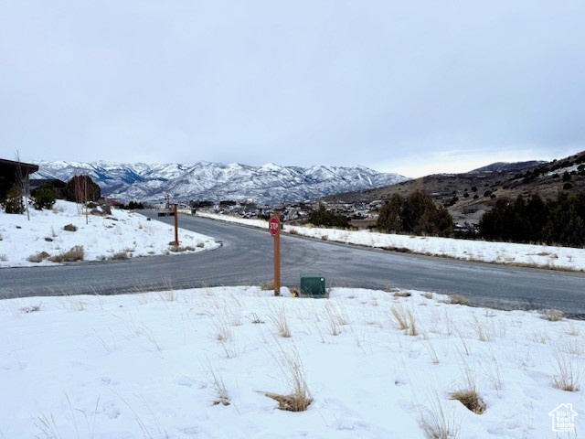 1664 N A1 PEAK CIR Unit: 551
