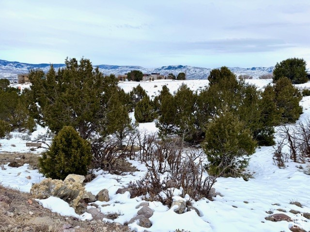 1664 N A1 PEAK CIR Unit: 551