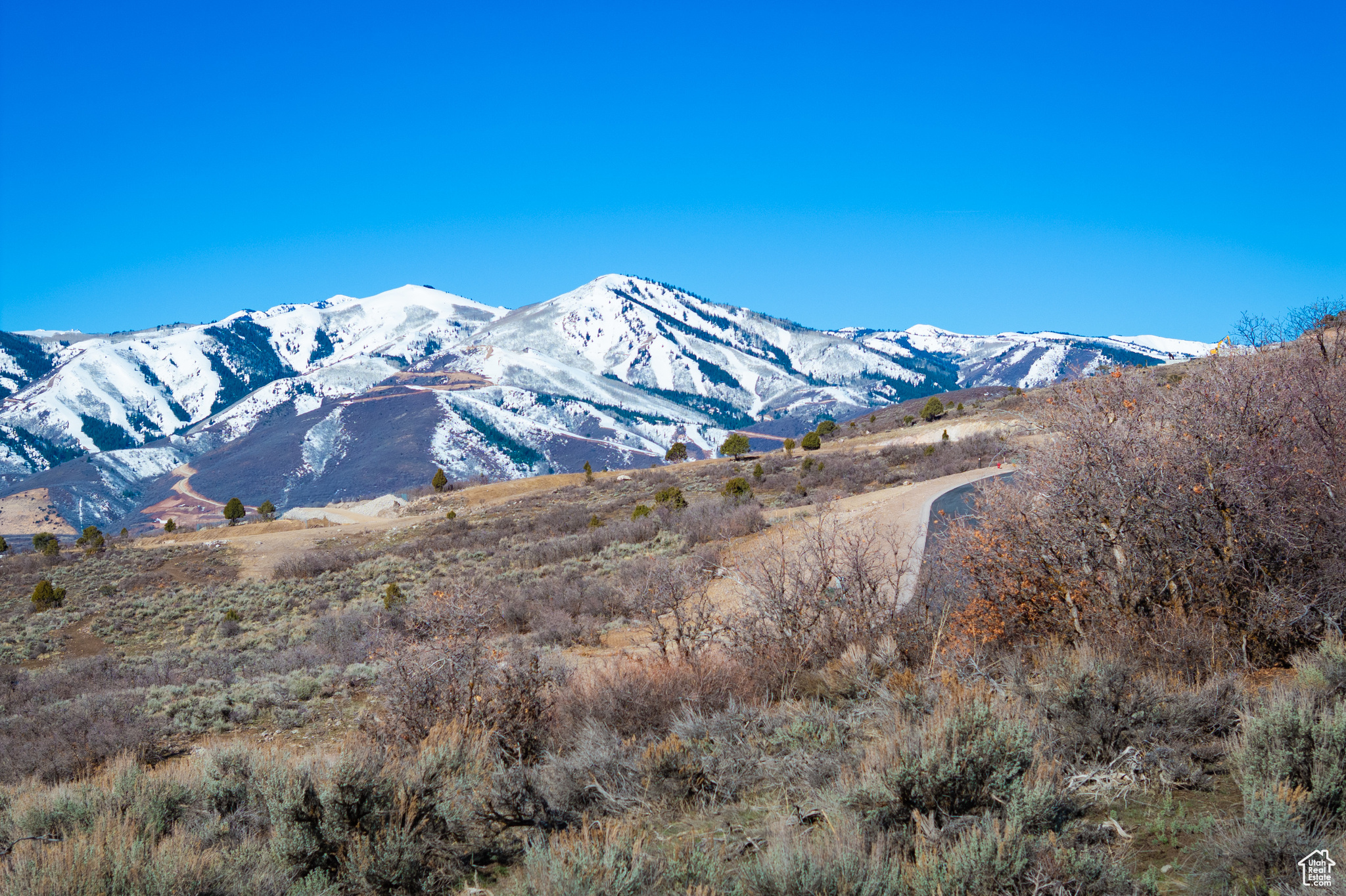 3181 E GRANITE ROCK LOOP Unit: 40