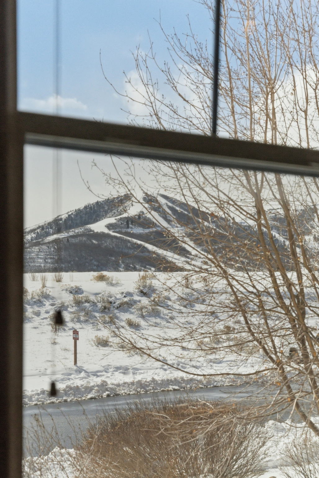 9855 N N VISTA DR #104