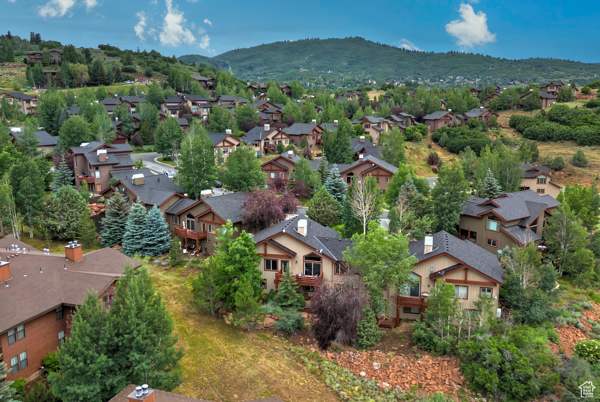 3388 CEDAR DR