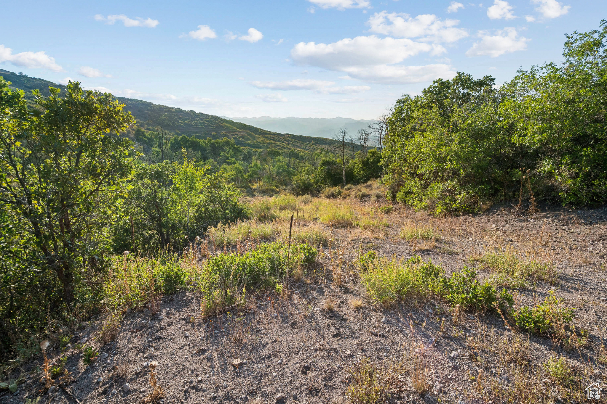 2148 WESTVIEW DR Unit: 1341