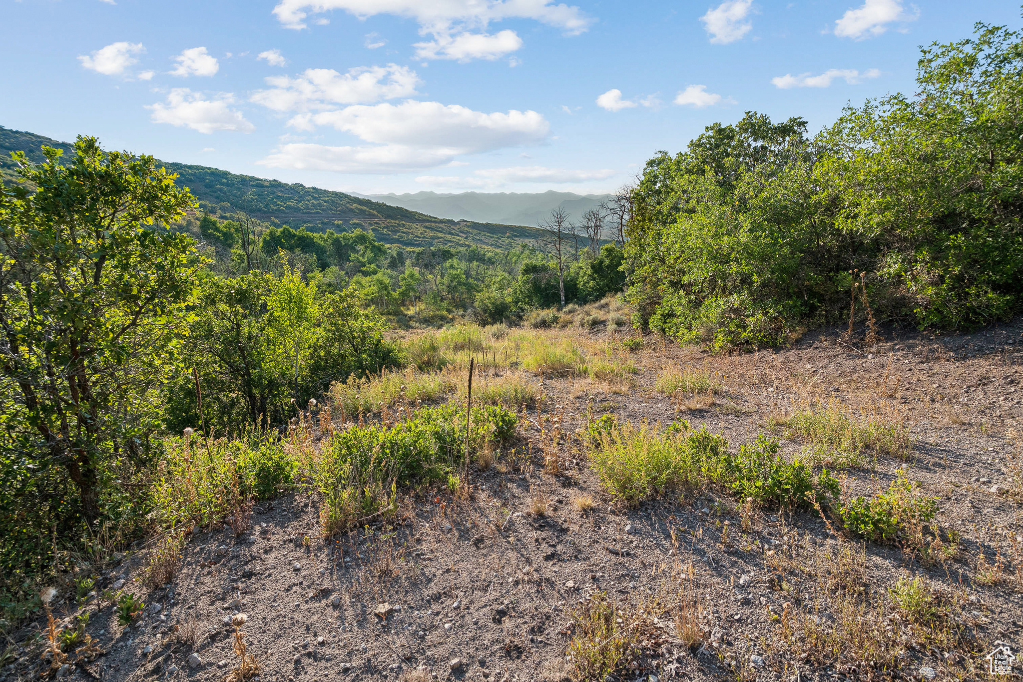 2148 WESTVIEW DR Unit: 1341