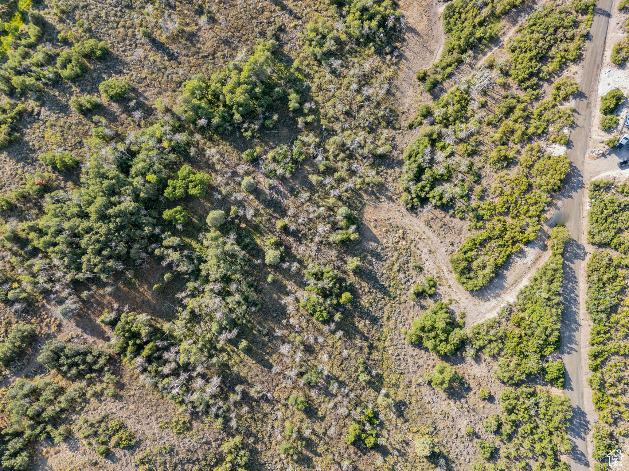 2148 WESTVIEW DR Unit: 1341