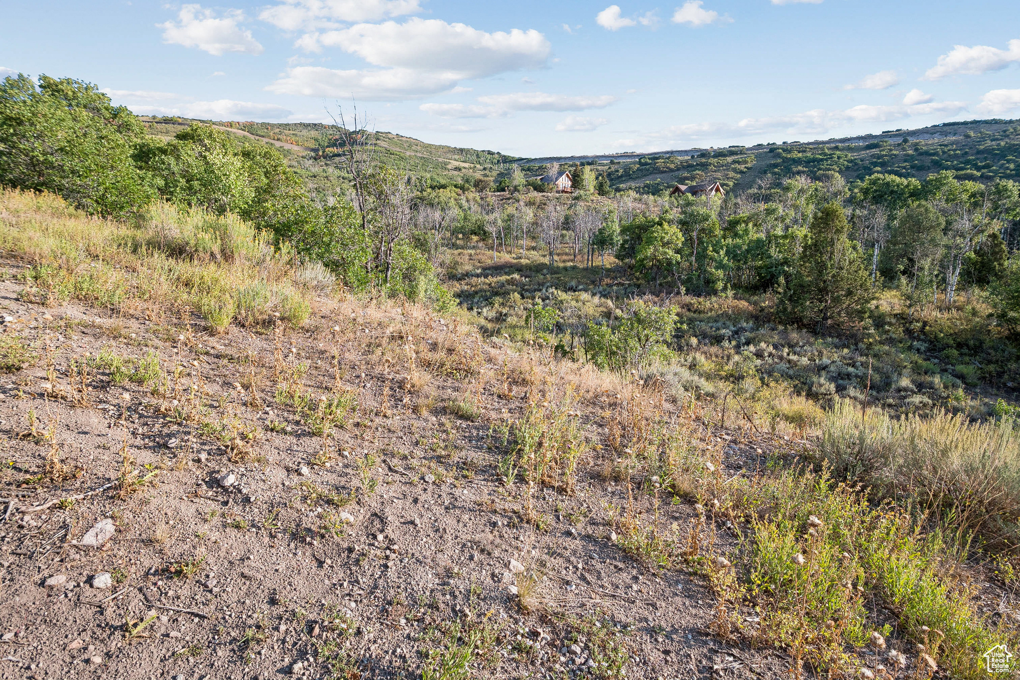 2148 WESTVIEW DR Unit: 1341