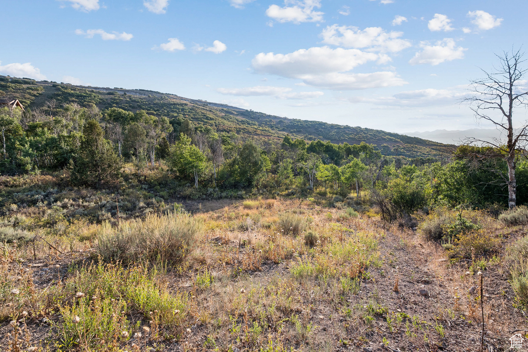 2148 WESTVIEW DR Unit: 1341