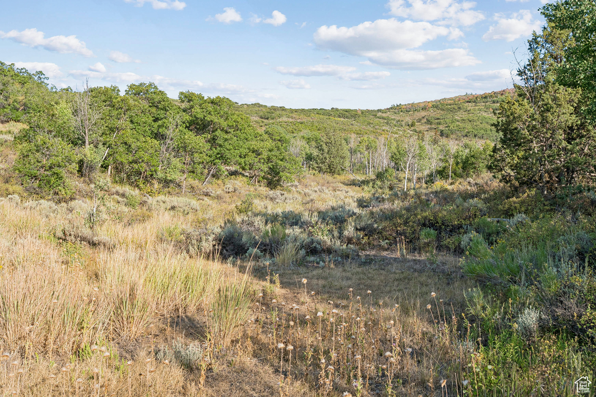 2148 WESTVIEW DR Unit: 1341