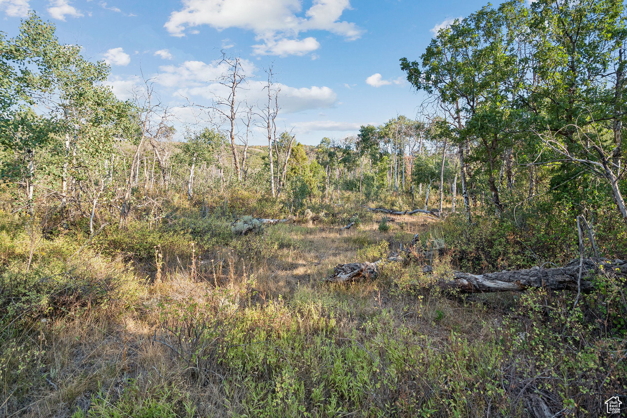 2148 WESTVIEW DR Unit: 1341