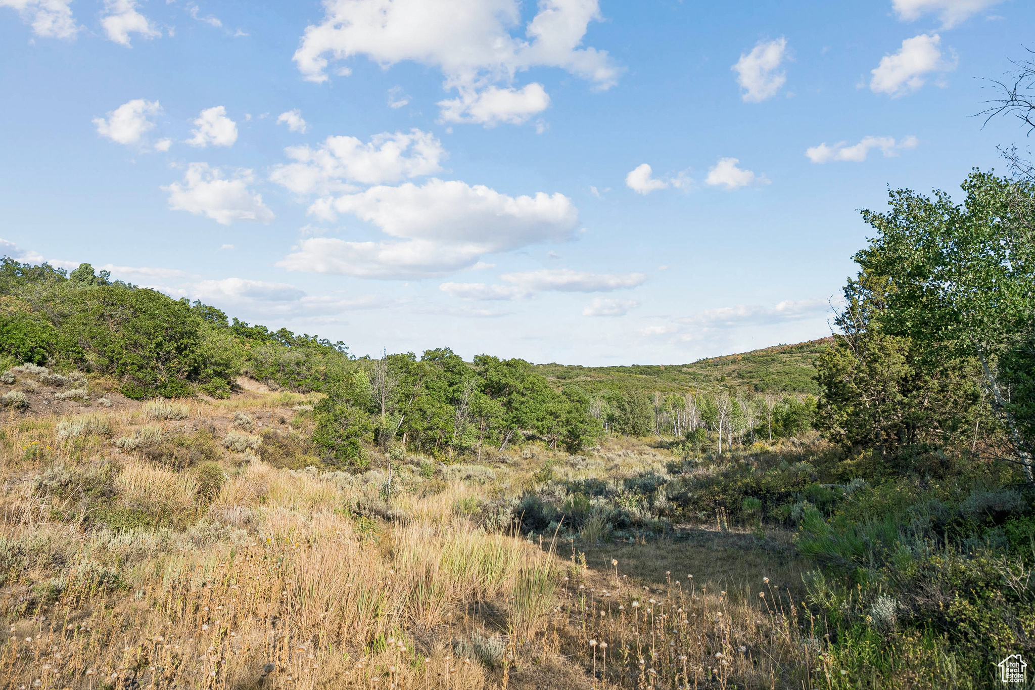 2148 WESTVIEW DR Unit: 1341