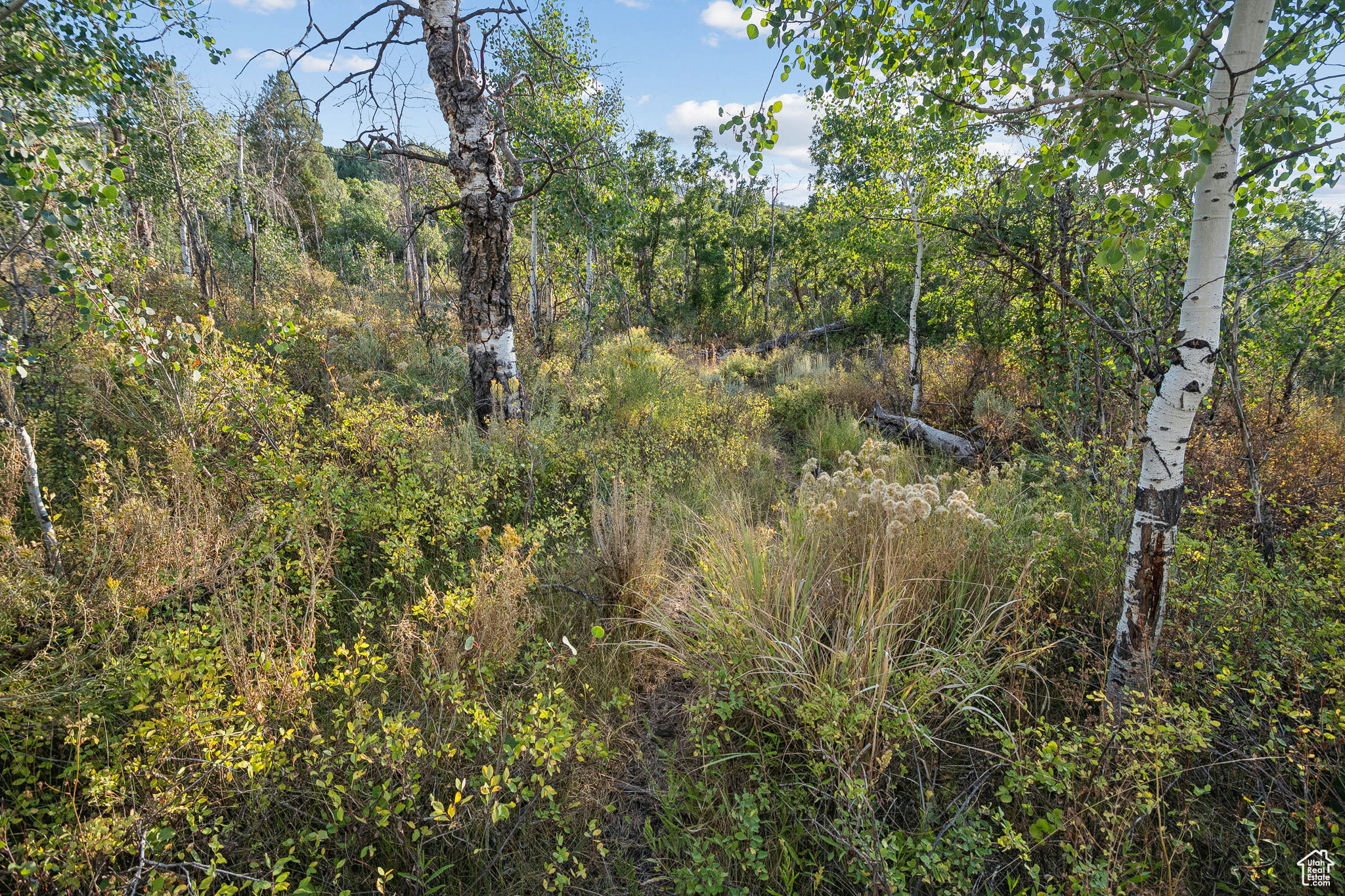 2148 WESTVIEW DR Unit: 1341