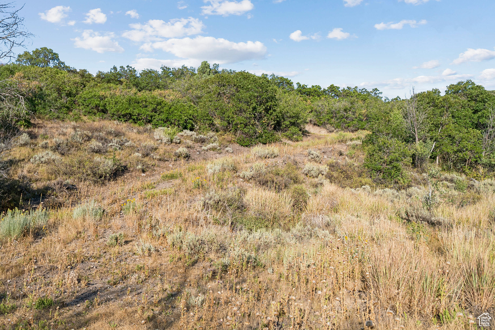 2148 WESTVIEW DR Unit: 1341