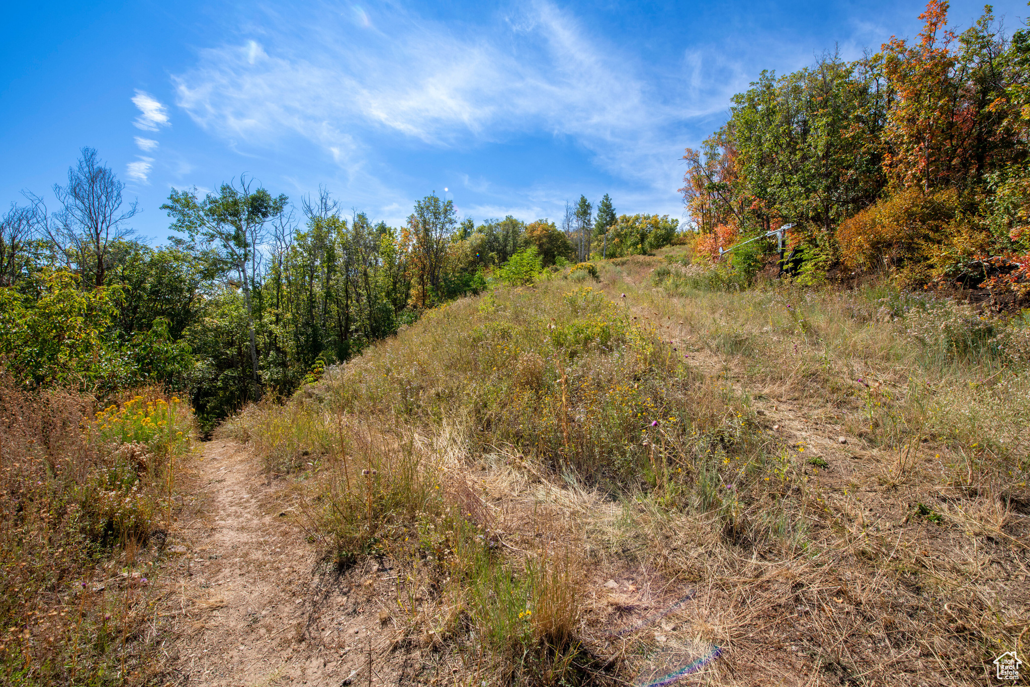 1037 NORTHSTAR Unit: 10