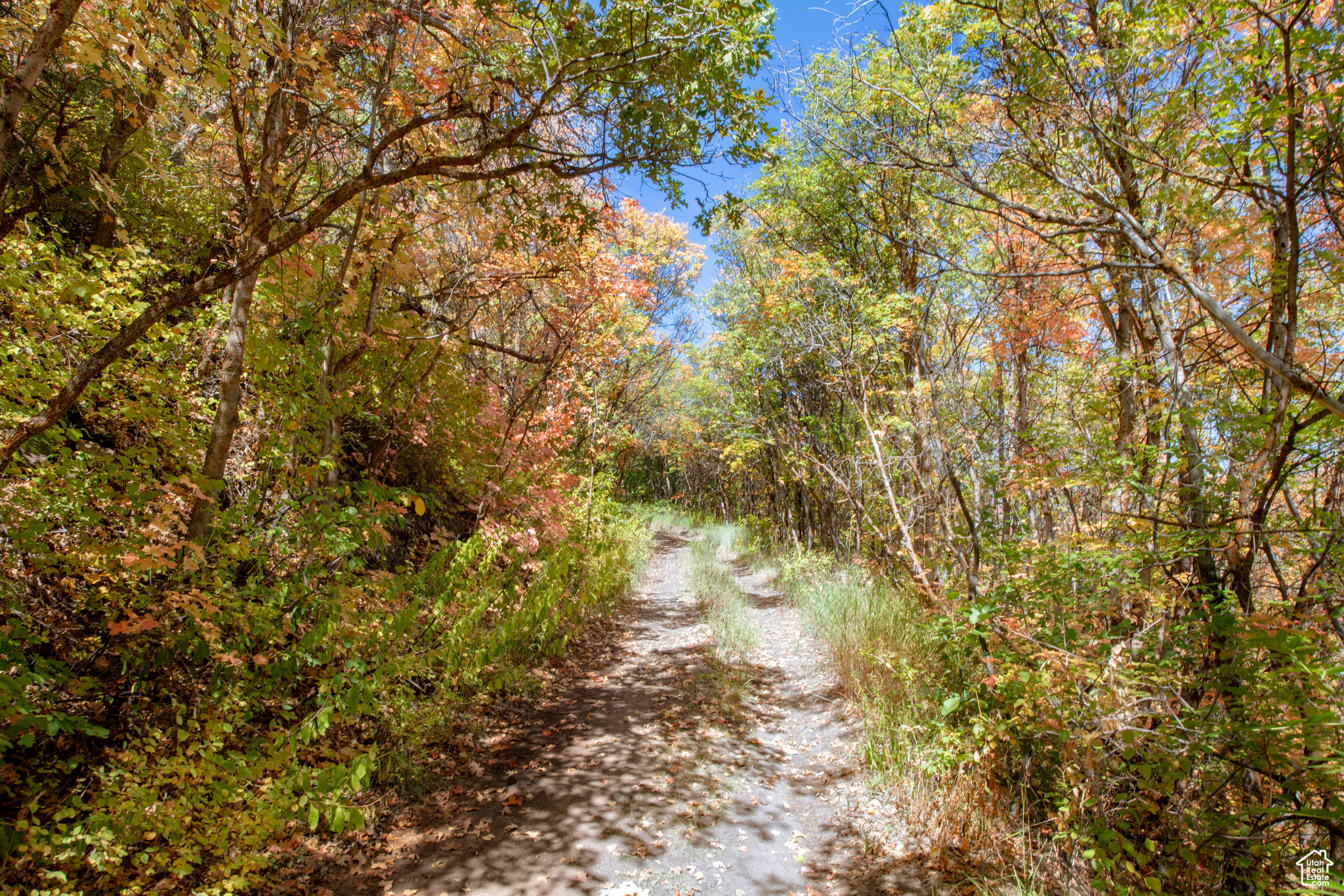 1037 NORTHSTAR Unit: 10