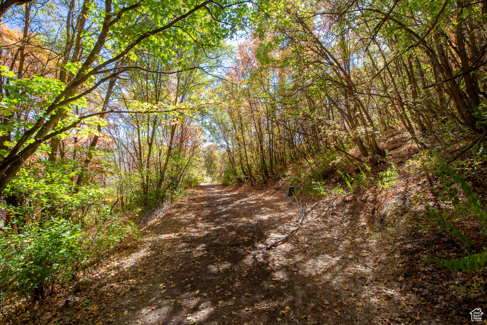 1037 NORTHSTAR Unit: 10