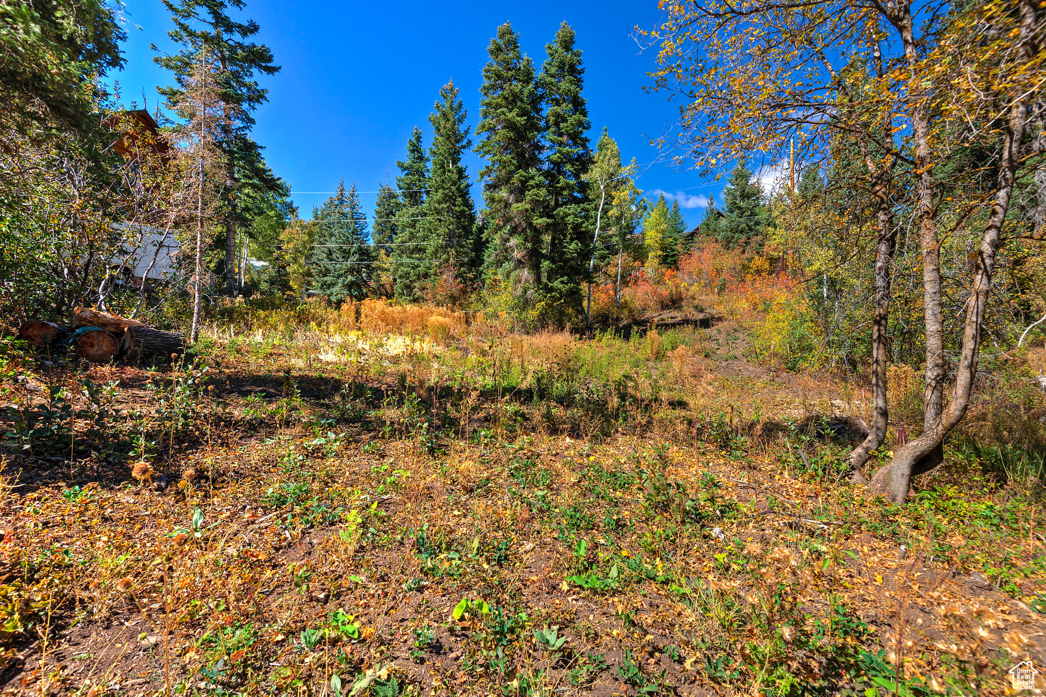 195 SAINT MORITZ STRASSE Unit: 87