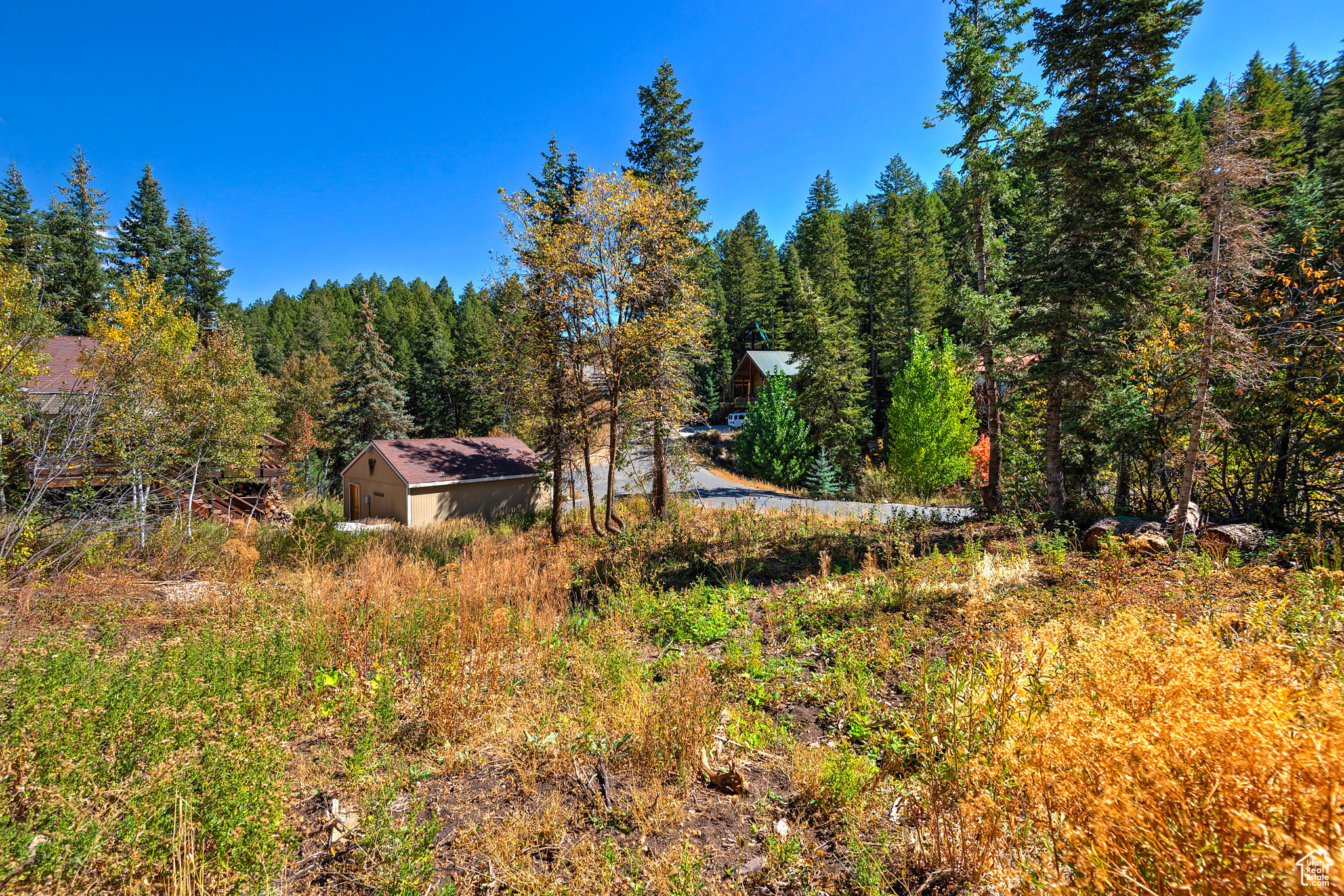 195 SAINT MORITZ STRASSE Unit: 87