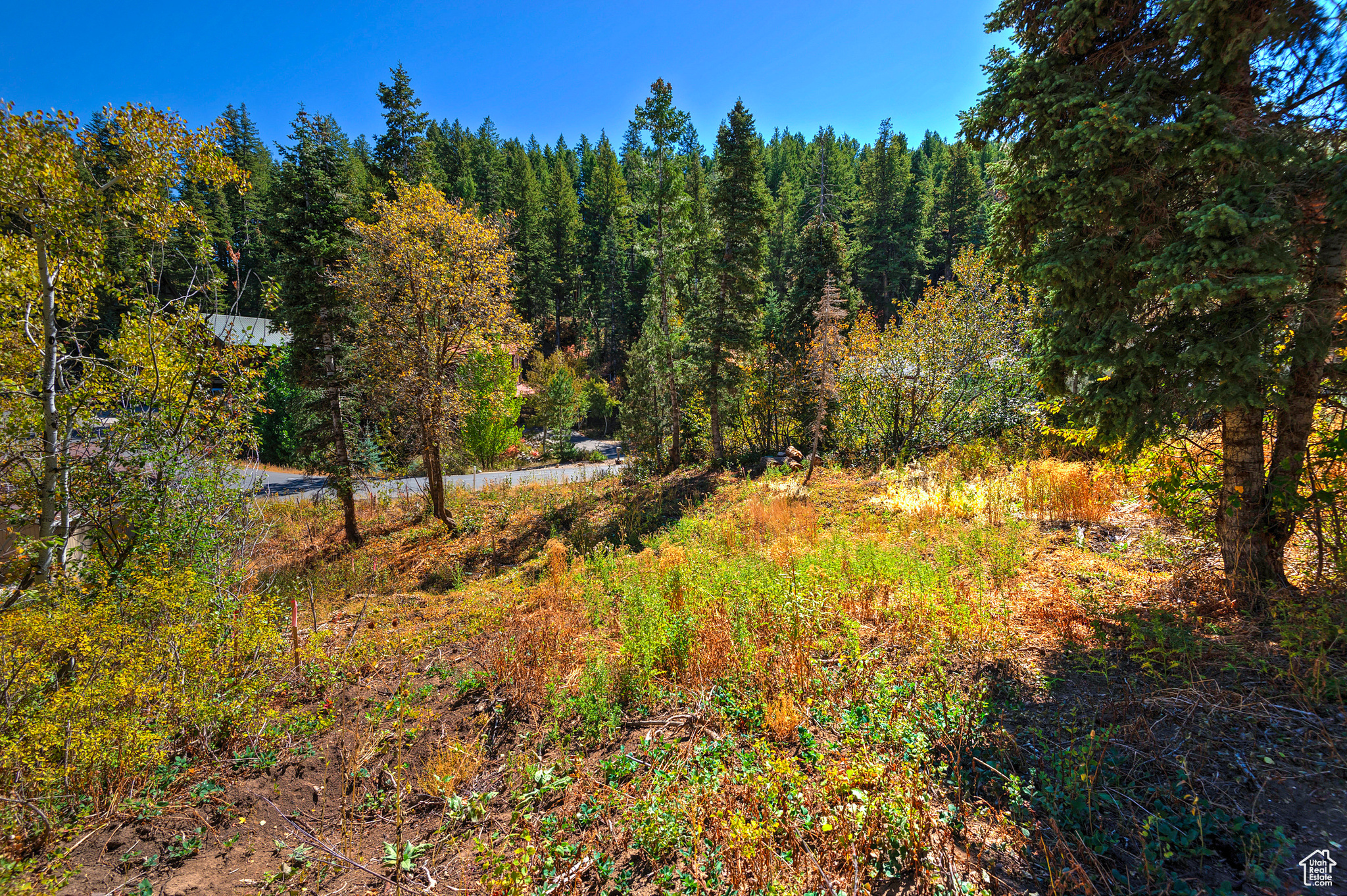 195 SAINT MORITZ STRASSE Unit: 87