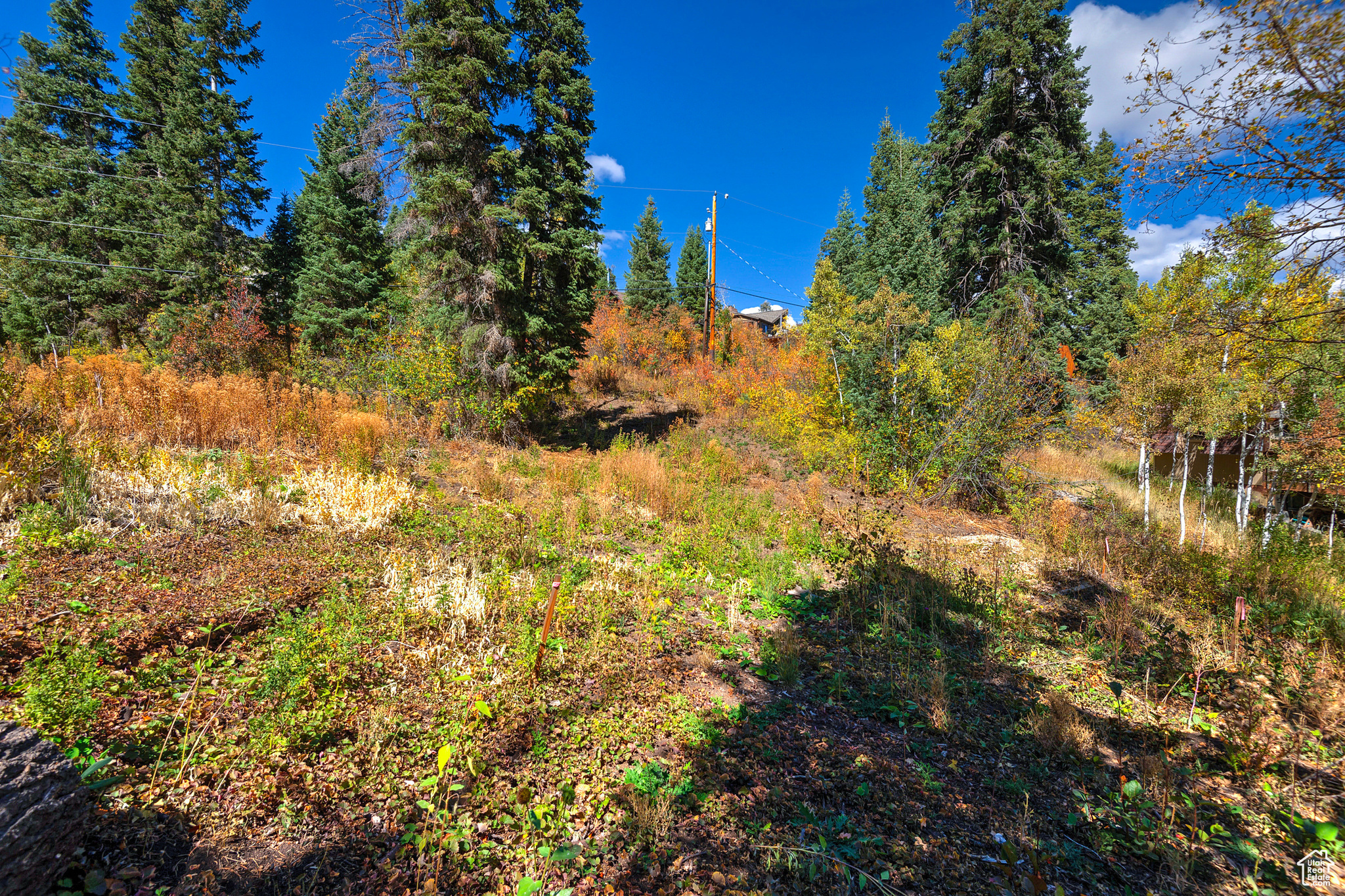 195 SAINT MORITZ STRASSE Unit: 87