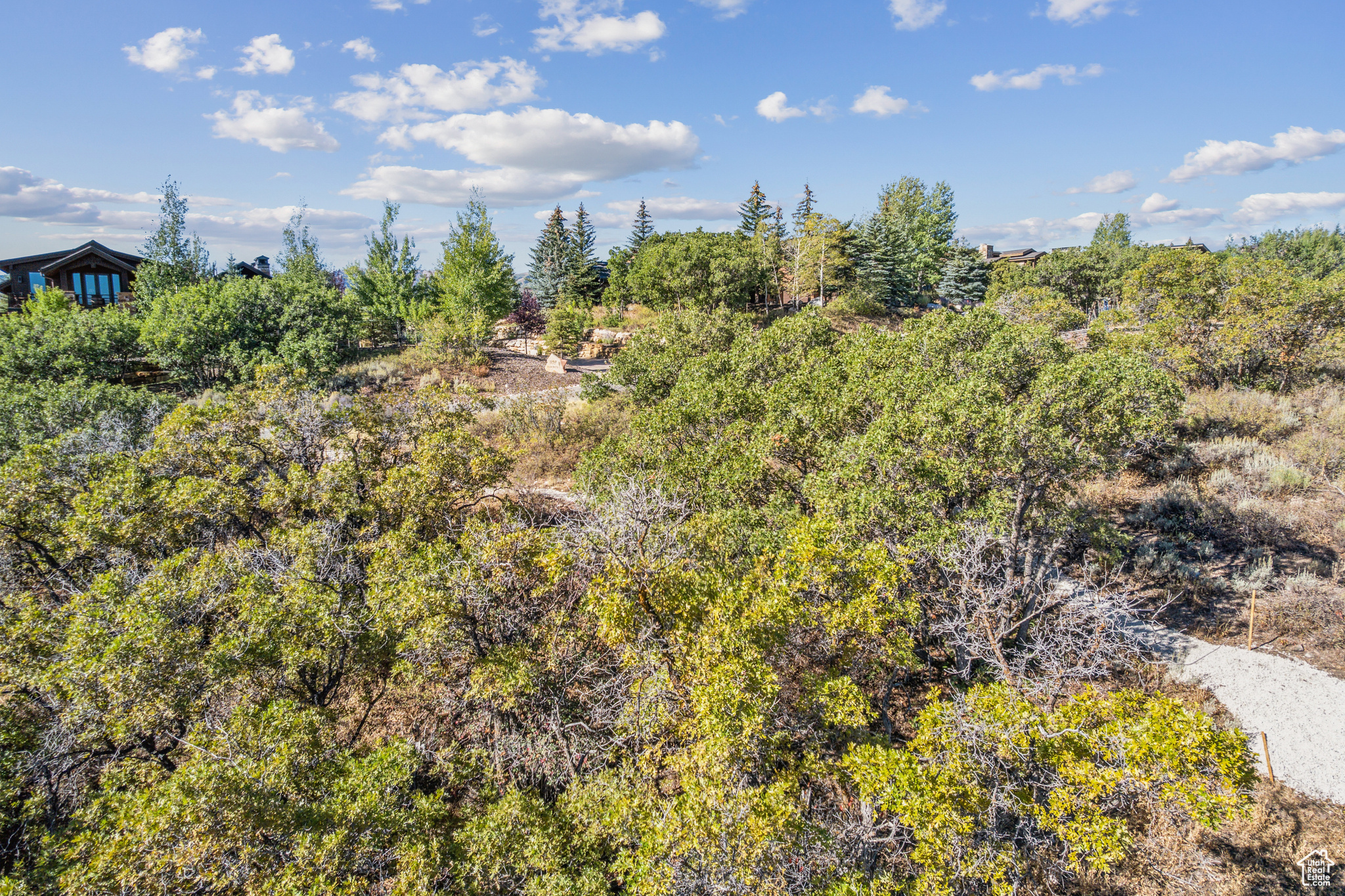 1146 SNOW BERRY ST Unit: 62