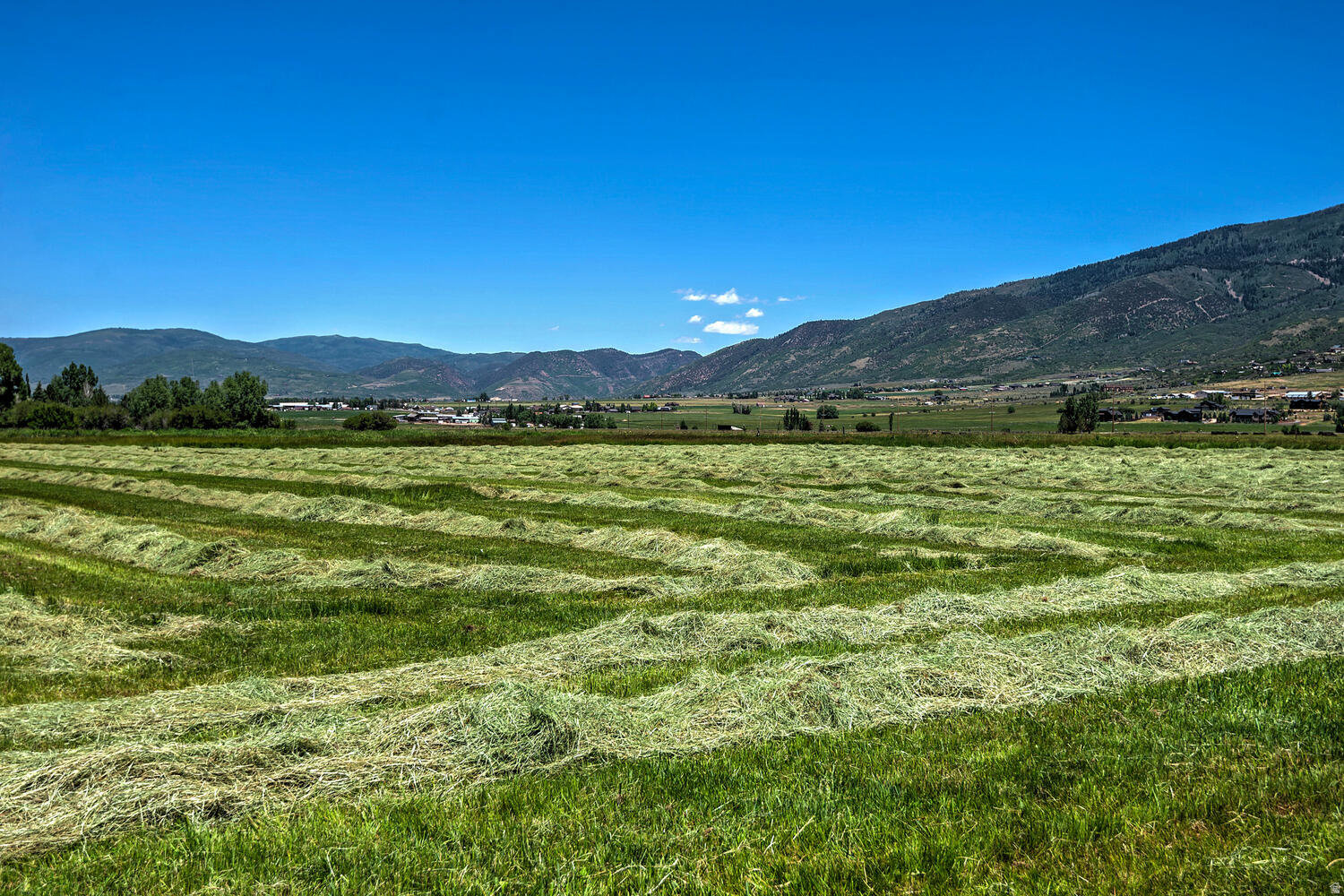 240 W SIMPSON LN Unit: 512