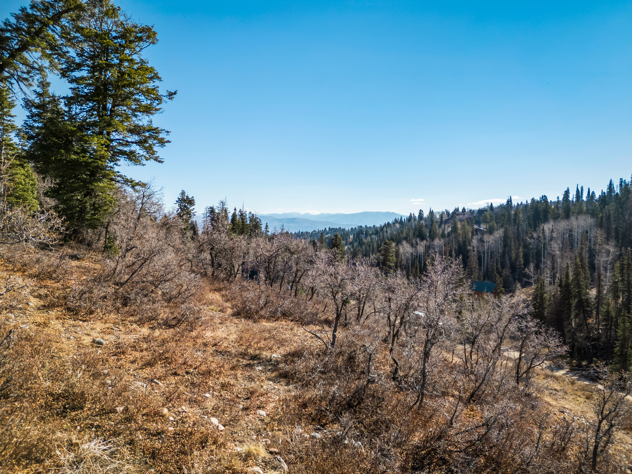 1678 W ALEXANDER CANYON RD Unit: D-92