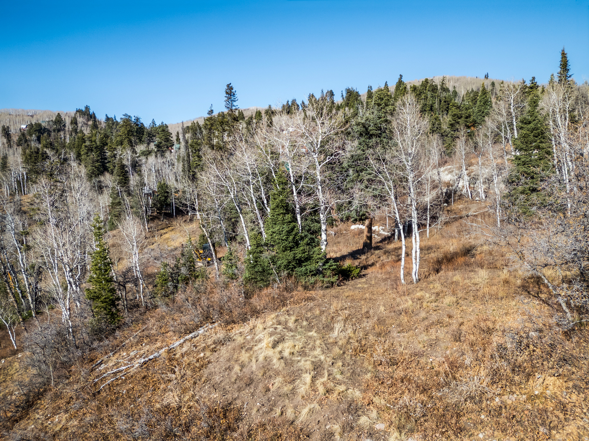1678 W ALEXANDER CANYON RD Unit: D-92