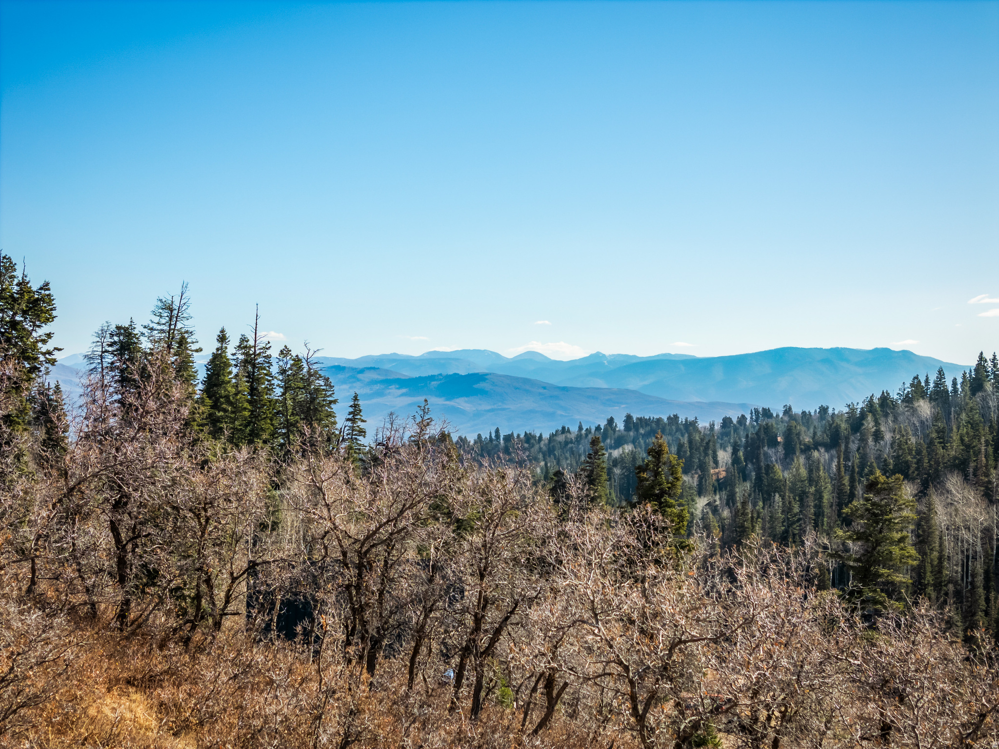 1678 W ALEXANDER CANYON RD Unit: D-92