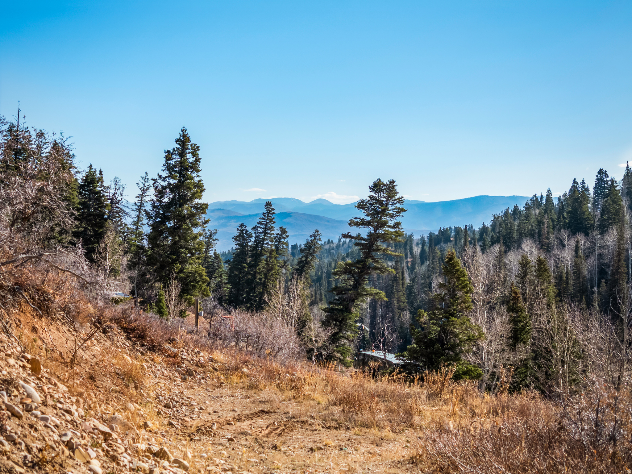 1678 W ALEXANDER CANYON RD Unit: D-92