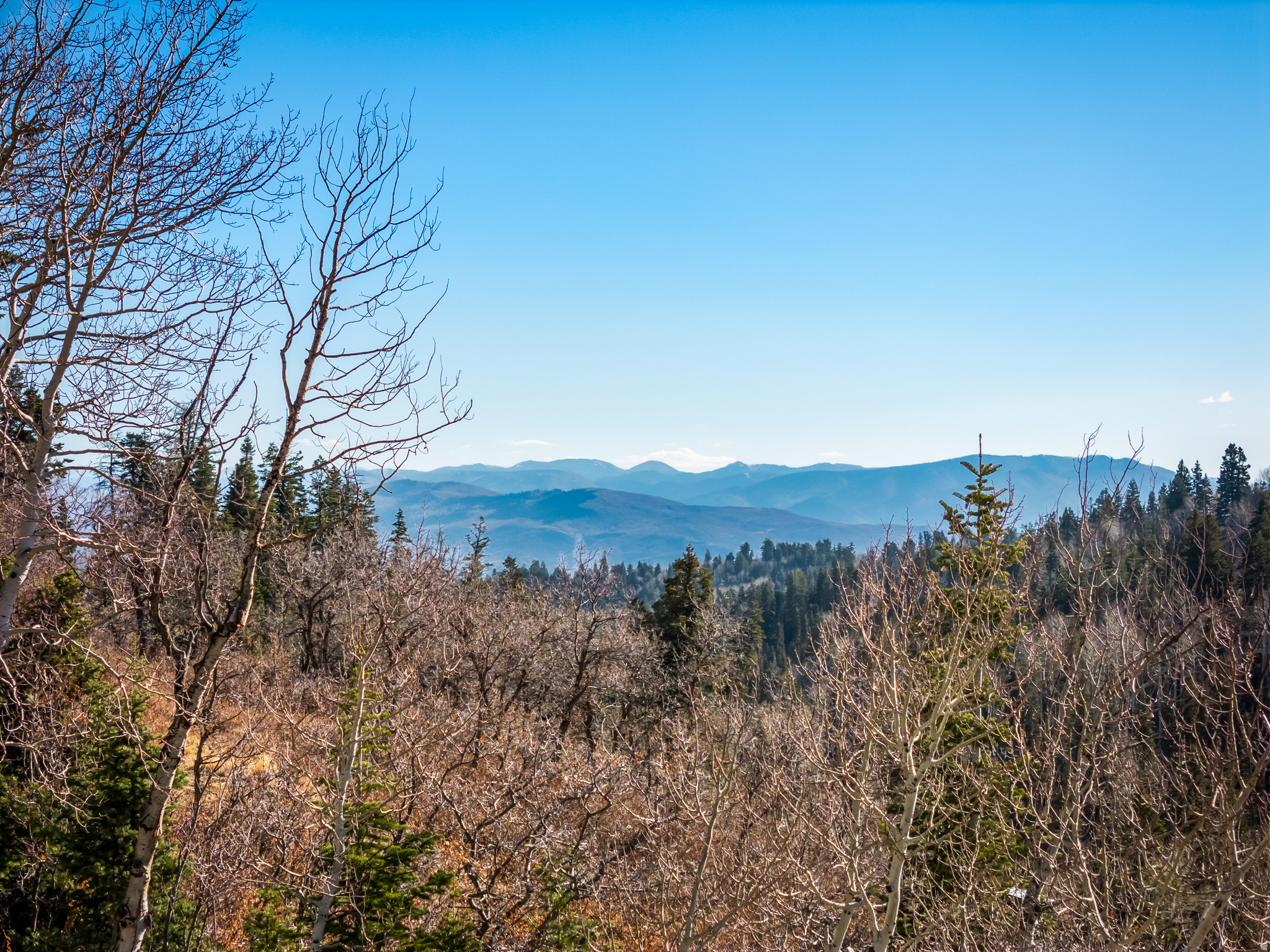 1678 W ALEXANDER CANYON RD Unit: D-92