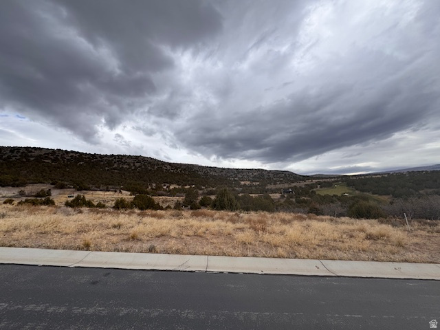 2794 E BOULDER TOP LOOP Unit: 595