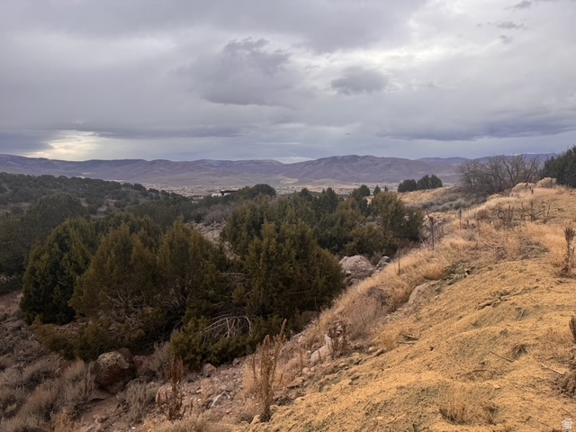 2794 E BOULDER TOP LOOP Unit: 595