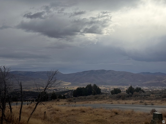 2794 E BOULDER TOP LOOP Unit: 595