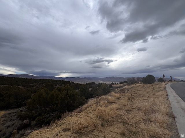 2794 E BOULDER TOP LOOP Unit: 595