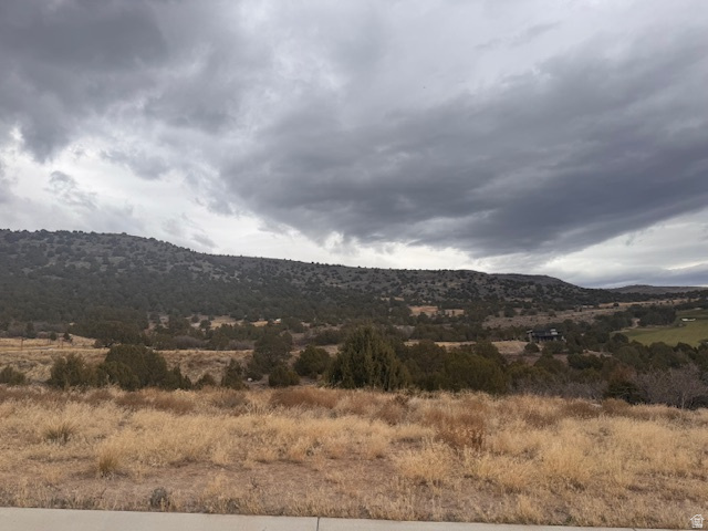 2794 E BOULDER TOP LOOP Unit: 595