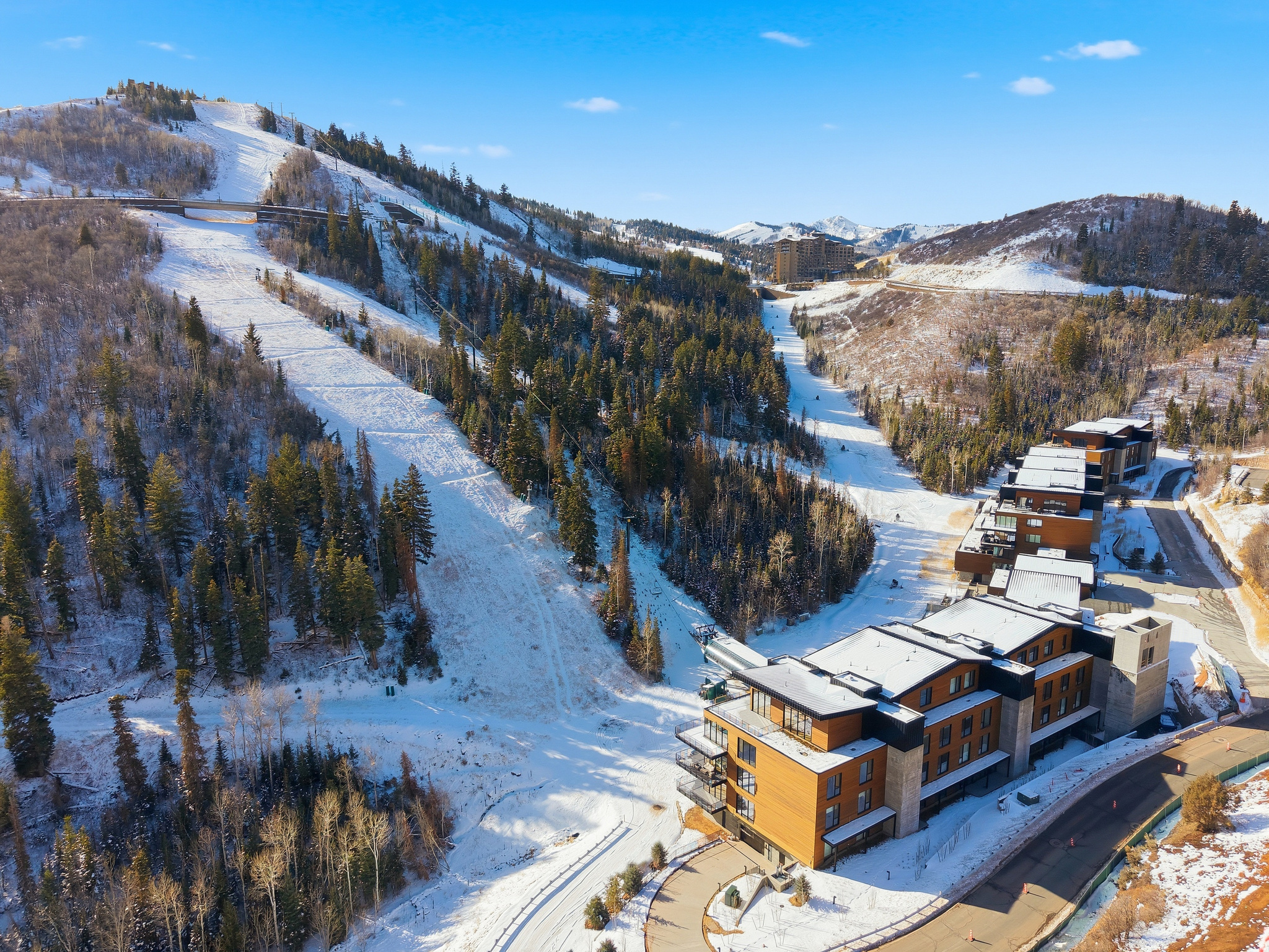 3267 W DEER HOLLOW DR #3206